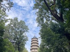 -灵谷景区