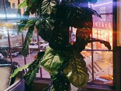 -咖啡人·融合餐厅(健康东路店)