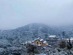 -树山生态村