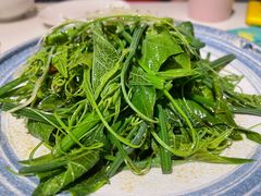 丝瓜苗-后海16号·北京私房菜