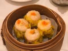 -美心皇宫(沙田大会堂店)