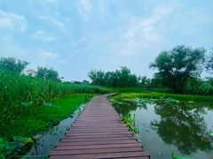 -西溪国家湿地公园