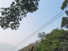 -南丹山森林王国