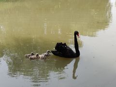 -长兴太湖图影湿地文化园