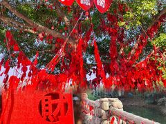 -温州乐园