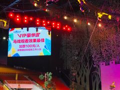 -灵玲国际马戏城