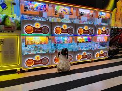 -奈尔宝家庭中心·亲子餐厅(宝安店)