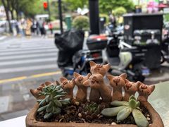 -WHEN PIGS FLY当猪飞