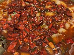 -川人川菜馆·小龙虾·鲜虾现做(黄山路店)