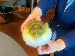 -肆月河豚·淮扬菜·湘菜(华天店)