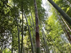 -雷波马湖风景区