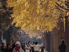 -钓鱼台国宾馆