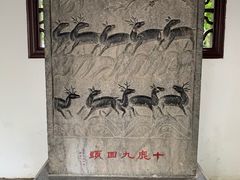 -上海醉白池公园