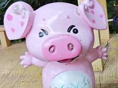 -白云山风景名胜区