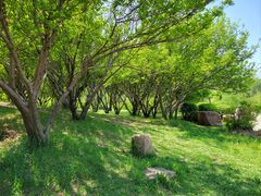 -长春公园(普阳街道)