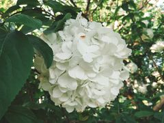 -杭州城北体育公园