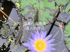 -国家植物园