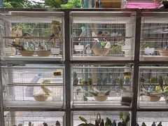 -宠爱我(南山店)