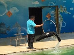 -西安秦岭野生动物园