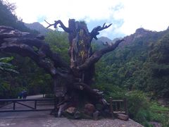 -龙湾潭国家森林公园