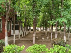 -辽宁大学(崇山校区)