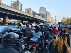 -三里屯东五街银杏大道