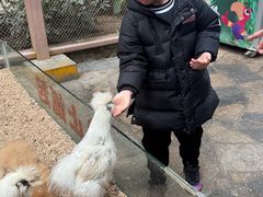 -南宫五洲植物乐园