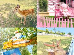 -渔岛海洋度假区