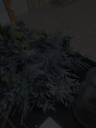 点击看大图 -小时候儿童摄影(解放大道店)