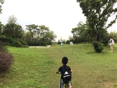 -上海崇明金茂凯悦酒店