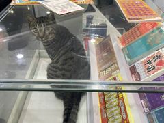 -中国福利彩票·中国体育彩票(包头路店)