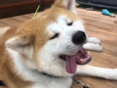 -YCHL Studios健身工作室(市二宫店)