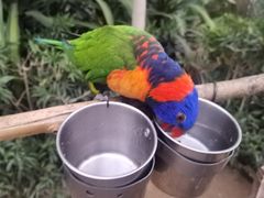 -南宫五洲植物乐园