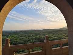 -灵谷景区