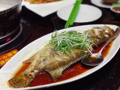 清蒸桂花鱼-渔米粥(罗湖店)