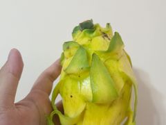 -油麻地果栏