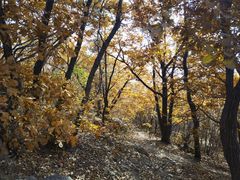 -沈阳辉山风景区