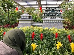 -南宫温泉水世界