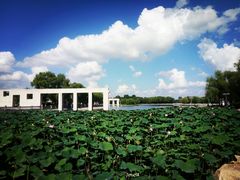 -长春世界雕塑园冰雪艺术天地