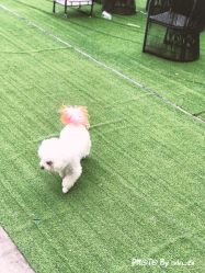 -Pink You美甲美睫纹绣定制中心