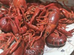 -比尔森韩式烤肉自助(绿园店)