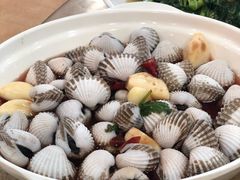 血蛤-揭阳钟记小食(福田新村店)