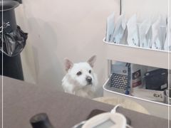 -悟白咖啡WoobyCafe