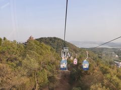 -东湖磨山景区