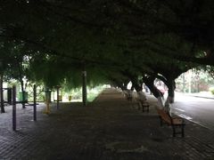 -广西大学(大学东路校区)
