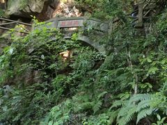 -莫干山风景区