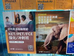 -英孚教育青少儿英语(长宁来福士中心)