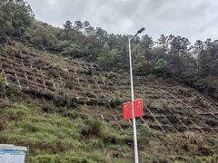 -黄埔油麻山森林公园