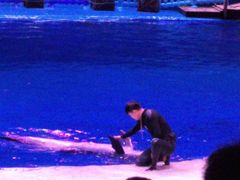 -华夏文旅海洋公园