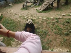 -南昌动物园